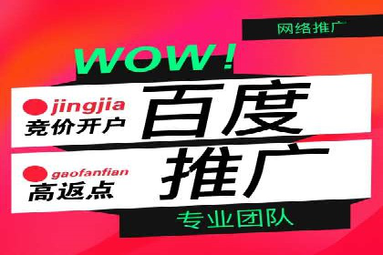 百度推广平台：从传统到数字营销的转型案例